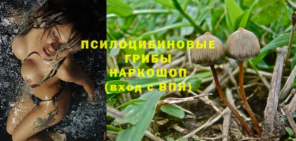дмт Алексин