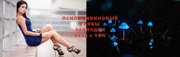 гидра Алзамай