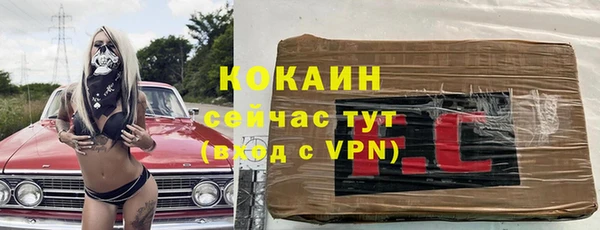 гидра Алзамай
