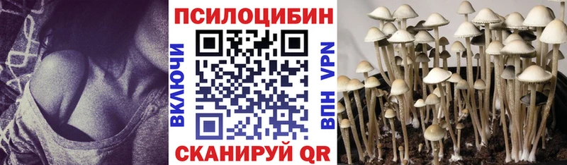 как найти Венёв Галлюциногенные грибы GOLDEN TEACHER